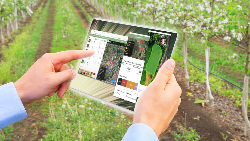 Cultivating the Future: The Transformative Impact of IoT on Modern Agriculture